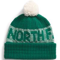 Retro Cabin Beanie: 84OEVERGREEN/WHITEDUNE